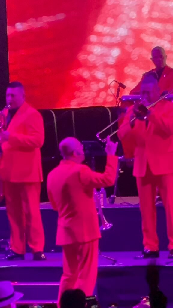 IMG_8156-576x1024 Artistas